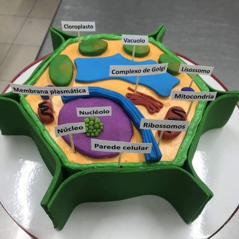 Plant Cell Project Ideas Models, Plant Cells Project Ideas, Plant Cell Project, Cell Model Project, Animal Cell Project, Science Exhibition Projects, Cell Project, Science Cells, Plant And Animal Cells