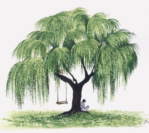 Trees Without Leaves Drawing, Easy Willow Tree Drawing, How To Draw A Willow Tree, Whimsical Tree Drawing, Green Tree Drawing, Summer Tree Drawing, Types Of Trees Drawing, Elm Tree Drawing, Trees Sketching