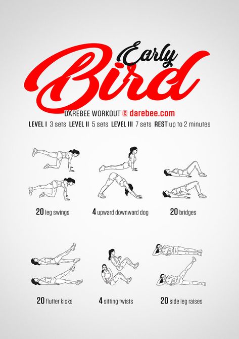 Early Bird Workout Animal Workout Exercise, Early Bird Study Routine, Bird Dog Workout, Early Bird Study Schedule, Darbee Workout, Military Exercise Workouts, Basic Workout, Everyday Workout, Gym Workout For Beginners