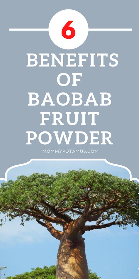 Boabab Tree Benefits, Benefits Of Baobab Powder, Baobab Powder Benefits, Baobab Benefits, Homemade Protein Powder, Fruit Powders, Baobab Fruit, Thm Drinks, African Herbs