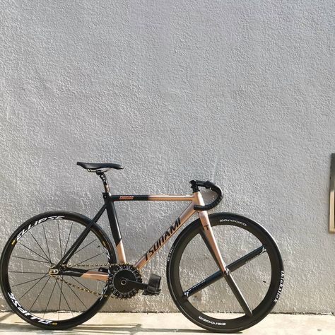 Hi, how is your Monday , 🚥🚥click photo for surprising :). #tsunamibicycles #tsunamibikes #fixedgearnyc #fixedgearargentina #trackbike… Bycicle Photo Ideas, Tsunami Fixie, Photo Bike, Fixie Gear, Fixed Bike, Black Pink Background, Fixie Bike, Fixed Gear Bike, Cycling Photos