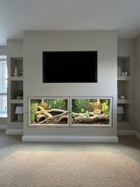 DIY Reptile Enclosures | MEDIA WALL VIVARIUM😍 Lizard Terrarium, Diy Reptile, Snake Enclosure, Wall Aquarium, Reptile Room, Animal Ideas, Diy Aquarium, Reptile Terrarium, Reptile Cage