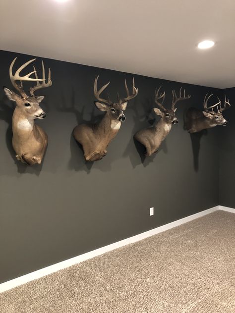 Deer Wall Mount Ideas, Deer Mount Display, Wall Color For Deer Mounts, Hunting Living Room Ideas, Room With Deer Mounts, Man Cave Deer Mounts, Deer Mount Wall Arrangement, Man Cave With Deer Mounts, Hunting Living Room