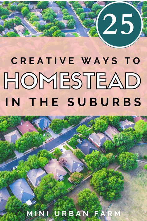 25 Creative Ways to Homestead in the Suburbs - Check out these homesteading ideas to start homesteading today! You don't need a lot of space to become a homesteader! Using these ways to start homesteading and pick up on some basic homesteading skills! Urban Homesteading - Urban Farming - Mini Urban Farm Urban Homestead Layout, Homestead In Suburbs, Simple Homesteading Ideas, Homestead In Town, In Town Homesteading, Homesteading For Beginners In The City, Regenerative Farming Backyard, Homesteading In Town, Homesteading In The Suburbs