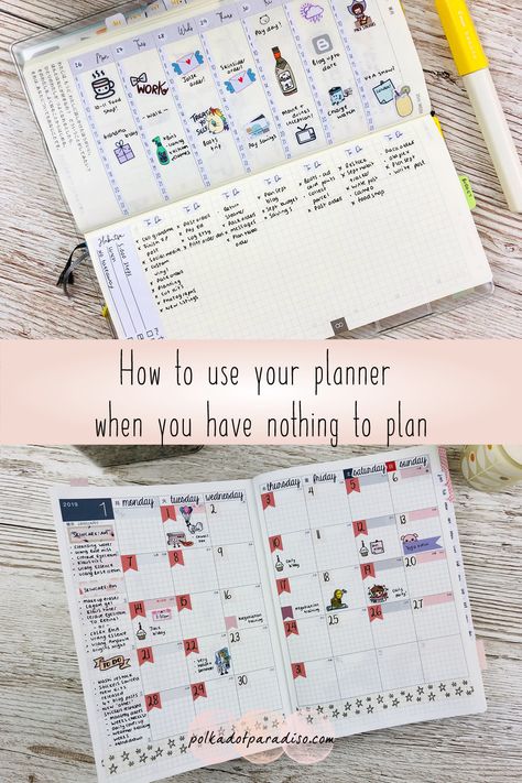 How To Use Planner, Best Time To Post, Never Been Better, Online Quiz, Daily Page, Daily Gratitude, Goal Planning, Free Online Courses, Fitness Planner