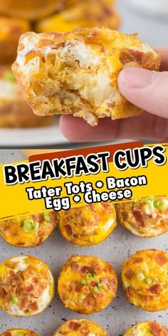 Our Breakfast Cups, or tater tot breakfast bites, are crispy tater tots mashed into a muffin pan, filled with eggs, cheese, and bacon, and then baked into mini muffin cups. These egg bites are perfectly balanced, protein-packed packages that make a hearty, homemade breakfast option when you need to get out the door in a hurry! Omelet Breakfast Cups, Breakfast Recipes With Tater Tots, Small Bites Breakfast, Egg Muffin Cups With Hashbrowns, Easy Egg Cups Breakfast, Tater Tot Breakfast Cups, Hashbrown Nests Breakfast Cups, Pioneer Woman Tater Tot Breakfast, Tater Tot Egg Bites