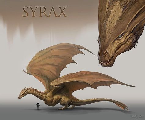 Raven on Instagram: "• Syrax • A little sad that Syrax doesn’t have any cool aliases, like “The Golden Queen” or “Realm’s Heart”. If you were to pick one for her, what would it be? I know a lot of you have also requested Balerion, but I think I wanna do a few more smaller/medium dragons before I get to that beast. Especially the ones that have more screen time, so I can actually see what they look like in the show X) #syrax #syraxthedragon #hotd #houseofthedragon #wyvern #wyvernart" Viserys I Targaryen, Targaryen Dragons, Aesthetic Dragon, Order Of The Dragon, Golden Queen, Game Of Thrones Artwork, Game Of Thrones Dragons, Got Dragons, Dragon Artwork Fantasy