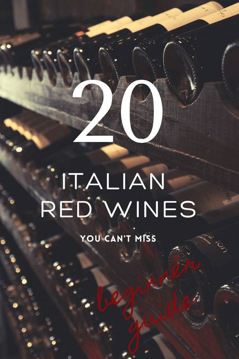 Red Wines Guide, Roast Rabbit, Italian Red Wine, Best Red Wine, Wine Vineyards, Spicy Seasoning, Brown Sauce, Red Wines, Wine Guide