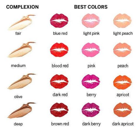 So, you've heard about the waterproof, smudge proof, and all-around long-lasting lipstick sensation, LipSense? This lipstick doesn't need reapplication, and it will last for up to 18 hours! When lipstick lasts this long, you better enjoy the color! The Pinterest image below is a LipSense color chart that will help you choose between the many Read More » Perfect Lipstick, Best Lipsticks, Makeup Tricks, Makeup Hacks, Purple Ombre, Lipstick Shades, Fair Skin, Colorful Makeup, Lipstick Colors