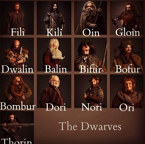 The dwarves of "The Hobbit" The Hobbit Characters Pictures, The Hobbit Dwarves Art, Dwarves From The Hobbit, The Hobbit Characters, The Hobbit Bofur, Hobbit Dwarves, The Hobbit Scene Movies, Hobbit An Unexpected Journey, Hobbit Art