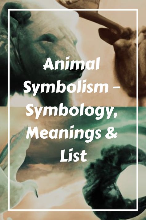 Animals With Meaning, Symbolic Animal Tattoos, Animal Meanings Symbols, Animal Meanings Tattoos, Animal Symbolism Tattoo, Meaningful Animal Tattoos, Protective Animals, Symbolism Animals, Animals Meaning Symbols