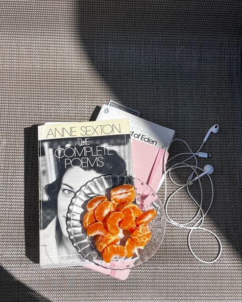 aesthetic books Anne sexton poetry Very Important Person, Arte Inspo, Foto Art, Samara, Instagram Inspo, Book Aesthetic, The Table, Summer Aesthetic, Dream Life