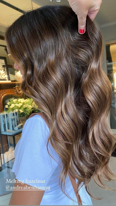 Melting Hazelnut Hair, Honey Brown Balayage Brunettes, California Brunette, Golden Highlights Brown Hair, Hazelnut Hair, Baylage Hair, Brown Hair Inspo, Brunette Hair With Highlights, Hairstyles For Layered Hair