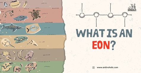 "Eon," also spelled as "aeon," refers to the largest division of the geologic time scale, superseding eras. It signifies an indefinitely long period, often used to describe billion-year timescales in the field of geology and cosmology. Prehistoric Timeline, Phanerozoic Eon, Geologic Time Scale, Ancient Greek Gods, Environmental Change, Filipino Funny, Diy Calendar, Life Form, Activity Ideas