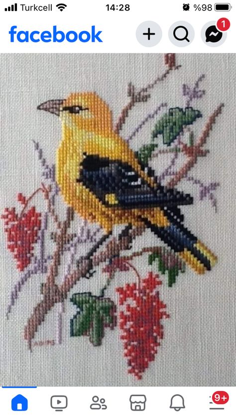 Cross Stitch Patterns Free Easy, 123 Cross Stitch, Cross Stitch Projects Ideas, Big Birds, Unique Cross Stitch, Cross Stitch Tutorial, Nature Cross Stitch, Framed Cross Stitch, Beautiful Cross Stitch