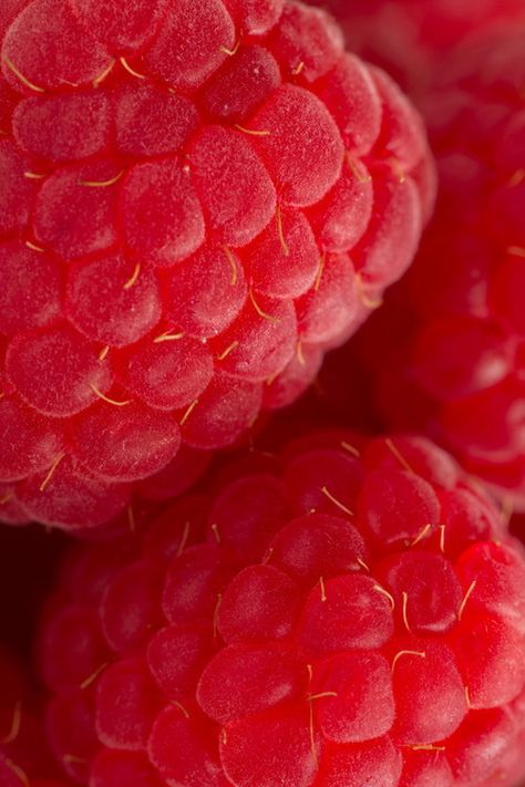 ♥R♥E♥D♥ Foto Macro, Food Texture, Raspberry Red, Red Fruit, Aesthetic Colors, Natural Forms, Red Aesthetic, Color Textures, Shades Of Red