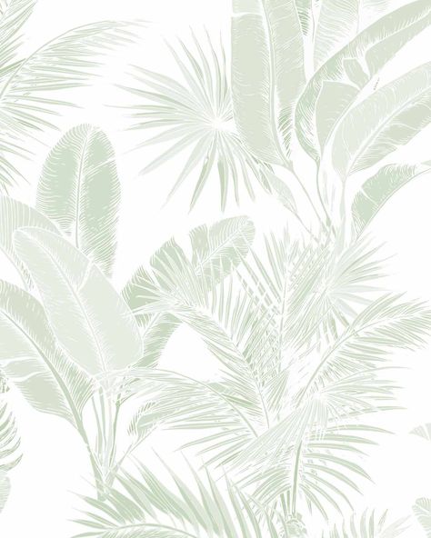 Hamptons Wallpaper, Sage Green Wallpaper, Palm Leaf Wallpaper, Palm Wallpaper, Latest Wallpapers, Tropical Wallpaper, Wallpaper Trends, Modern Beach, Productivity Hacks