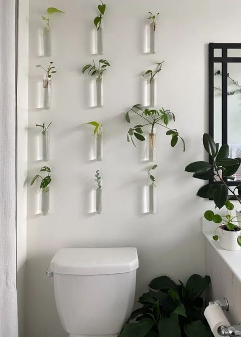 Plants In Test Tubes On Wall, Plant Test Tube, Plants In Tubes On Wall, Glass Propagation Wall, Test Tube Wall Decor, Plant Propagation Wall Decor, Test Tube Propagation Wall, Propagating Station Diy, Diy Test Tube Propagation