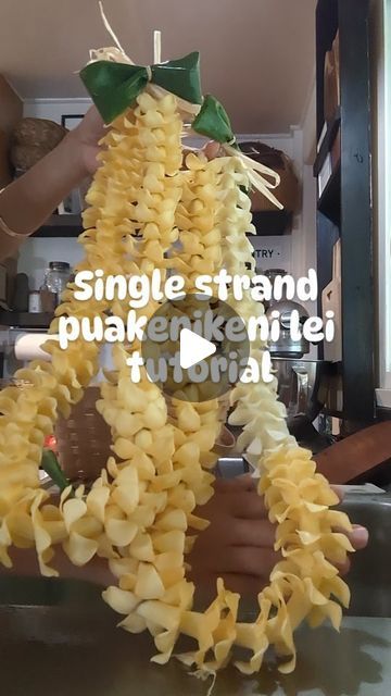 Ho'olei on Instagram: "Do you like the full orange or the two toned lei?

#puakenikenilei #leimaking #pua #puakenikeni #hoolei #makealei #aloha #singlestrandlei #tileaf" Puakenikeni Lei, Lei Diy, Money Lei Diy, Lei Making, Hawaiian Crafts, Hawaiian Lei, Money Lei, April 12, Graduation Ideas