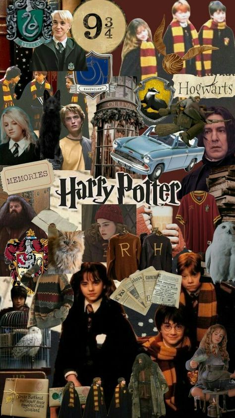 Harry Potter Collage, Hermione Draco, Harry Potter Wallpaper Backgrounds, Harry Potter Ron And Hermione, Harry Potter Art Drawings, Harry Potter Painting, Ron Hermione, Rubeus Hagrid, Harry Potter Background