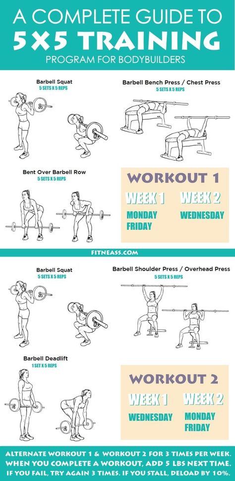 5x5 Workout, Stronglifts 5x5, Exercises For Back Fat, Bar Workouts, Barbell Shoulder Press, Exercises For Back, Flatten Belly, Barbell Deadlift, Good Back Workouts