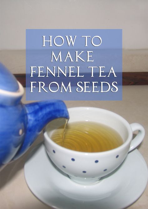 How to Make Fennel Tea Using Seeds. Keeping fennel seeds on hand means you can make tea whenever you want. Here's the easiest way to make it without any grinding, chopping, or pounding. Fennel Seed Tea, Fennel Seeds Benefits, Benefits Of Fennel, Fennel Tea, Seeds Benefits, Medicinal Tea, Moms Cooking, Make Tea, Juicing Benefits