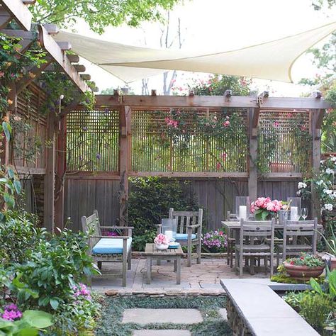 . Privacy Landscaping, Garden Privacy, Backyard Privacy, Pergola Patio, Garden Cottage, Outdoor Dining Area, Backyard Oasis, Outdoor Rooms, Shade Garden