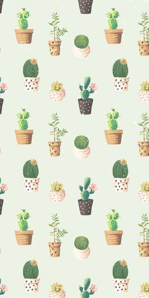 Aesthetic Cactus Wallpaper, Aesthetic Cactus, Adorable Aesthetic, Cactus Wallpaper, Best Wallpaper Hd, Best Wallpaper, Green Wallpaper, Pattern Wallpaper, Cactus