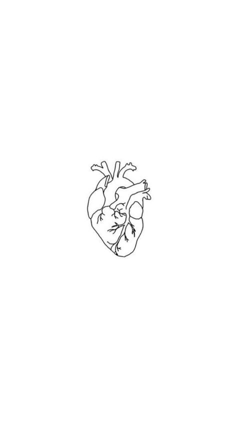 Tattoos For Surgeons, Real Heart Wallpaper Aesthetic, Simple Anatomical Heart Tattoo, Real Heart Aesthetic, Anatomical Heart Wallpaper, Human Heart Wallpaper, Anatomic Heart Tattoo, Real Heart Wallpaper, Heart Tattoo Aesthetic