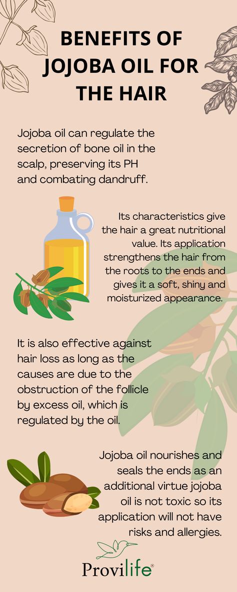 Did you know that our hair line contains jojoba oil? Here we tell you all its benefits 💚🍃. #haircare #haircare #haircare #hairhealthy #healthyhair #healthyandbeautifulhair #stronghair #hair #hairroutine #haircut #hairperfect #hairnourished #Provita #Provilife Jojoba Oil Hair, Jojoba Oil Benefits, Nutritional Value, Strong Hair, Dandruff, Hair Routines, Hair A, Hair Health, Jojoba Oil