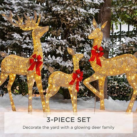 Best Choice Products 3-Piece Lighted Christmas Deer Family Set Outdoor Yard Decoration with 360 L... Christmas Deer Lights, Deer Light, Reindeer Lights, Deer Family, Colonial Christmas, Christmas Yard Decorations, Christmas Yard, Decorating With Christmas Lights, Family Set