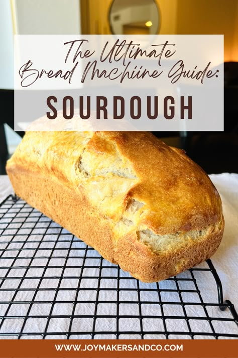 The Ultimate Bread Machine Guide to a 100% Sourdough Sandwich Loaf Sour Dough Bread Machine Recipe, Sourdough Bread Machine, Bread Dipping, Sourdough Bread Sandwiches, Sandwich Loaf, Dutch Oven Bread, Sourdough Sandwich, Brown Recipe, Bread Maker Recipes