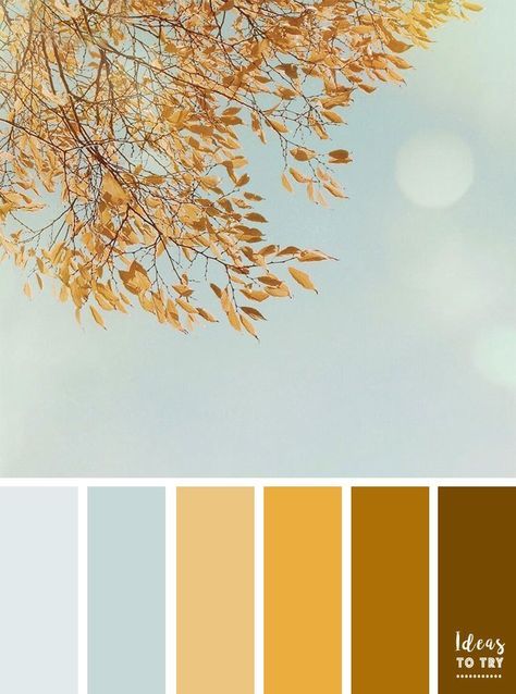 Yellow Autumn leave color scheme,autumn color palette,blue and yellow gold color combo Ochre Interiors, Turquoise Color Scheme, Autumn Color Palette, Palette Blue, Yellow Autumn, Brown Color Schemes, Gold Color Palettes, Yellow Colour Scheme, Color Palette Yellow