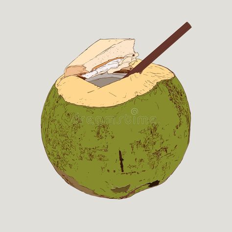 Coconut Shake Logo, Coconut Oil Illustration, Coco Tattoo, Coconut Drawing Illustration, Coconut Graphic Design, Coconut Illustration Design, Coconut Water Drink, Coconut Illustration, Coconut Water Illustration