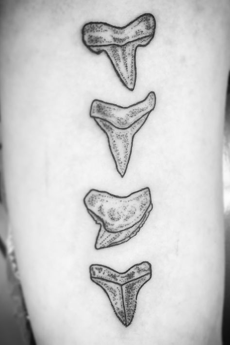 Shark Tooth Spine Tattoo, Shark Tooth Drawing Tattoo Ideas, Mako Shark Tooth Tattoo, Sharks Teeth Tattoo, Tiger Shark Tooth Tattoo, Sharks Tooth Tattoo, Traditional Tattoo Tooth, Shark Skeleton Tattoo, Jaw Bone Tattoo