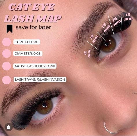 Cat Eye Lash Map, Eyelash Studio, Eyelashes Tutorial, Lash Map, Natural Fake Eyelashes, Best Lash Extensions, Lashes Tutorial, Lashes Fake Eyelashes, Eyelash Tips