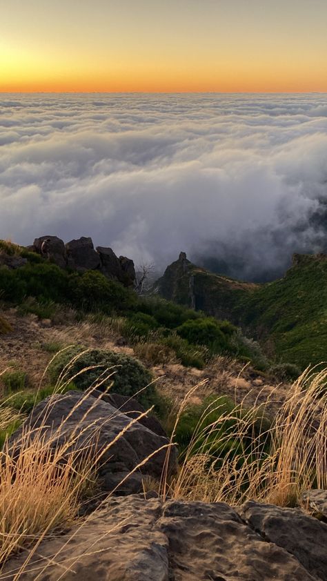 Madeira Aesthetic, Madeira Funchal, Beauty Plan, Aesthetic Ig, I Want To Travel, Portugal Travel, Summer 24, Travel Board, Travel Goals