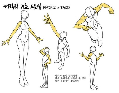 when the arms are given movements whilst the legs are together, the motions of the arms are dramatized. Motion Drawing, Taco Drawing, Arm Drawing, Anatomy Tutorial, Human Anatomy Drawing, Drawing Examples, Human Anatomy Art, Body Reference Drawing, Animation Reference