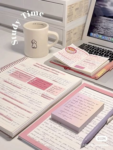 Vision Board Pink Aesthetic 2025, That Girl Study Aesthetic, Pink Studying Aesthetic, Study Pink Aesthetic, Work Aesthetic Office, Estudio Aesthetic, Big Notebook, Pink Study, Studying Girl