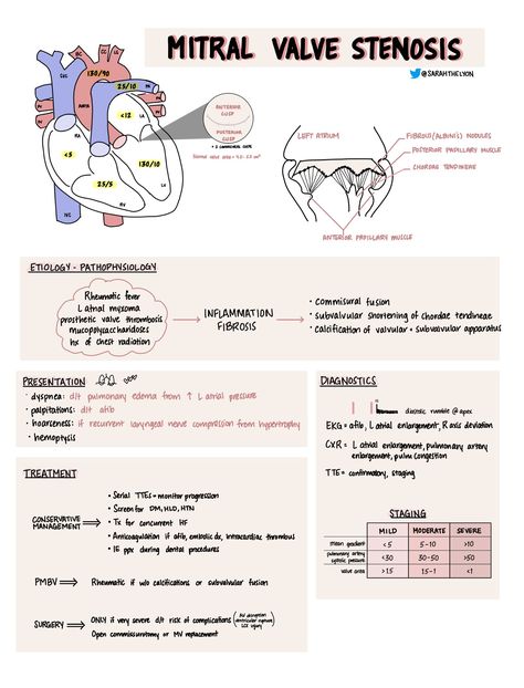 Mitral Stenosis, Medicine Motivation, Science Cells, Mitral Valve, Airway Management, Medicine Notes, Pa School, Medical Student Study, Study Flashcards