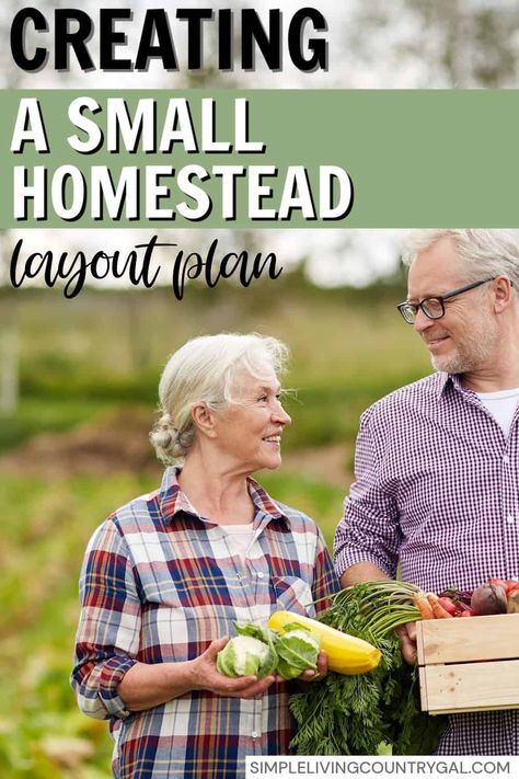 How to transform your small space into a thriving homestead with this step-by-step guide. Learn to strategically plan your garden, livestock areas, and storage solutions to make the most of the space you have. Add a bit of sustainability to your lifestyle by designing a layout that fits your needs perfectly. Perfect for beginners looking to start their homesteading journey without overwhelming chaos—start creating your dream homestead today! #smallhomesteading Homesteading For Beginners Step By Step, Small Yard Homesteading, Homestead Garden Layout Small Farm, Home Steading For Beginners, How To Start A Homestead, Small Homestead Layout, Colorado Homestead, Grow Food Inside, Homestead Planning