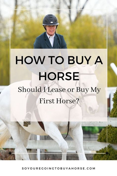 In the third edition of this web series I share the pros and cons of leasing and buying and help you decipher which might be the best option for you. Whether you’re a beginner, or a competitive junior, these principles will apply when you’re considering both options. PLUS – there is a fun QUIZ! 📌pin this post to save for later First Horse, Horse Ownership, Buy A Horse, Horse Care Tips, Future Farms, Hunter Jumper, Fun Quiz, Horse Care, Save For Later