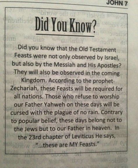 Feasts Of The Lord, Messianic Judaism, Hebrew Israelite, Bible Study Help, Our Father In Heaven, Bible History, Bible Study Notebook, Study Bible, Bible Love