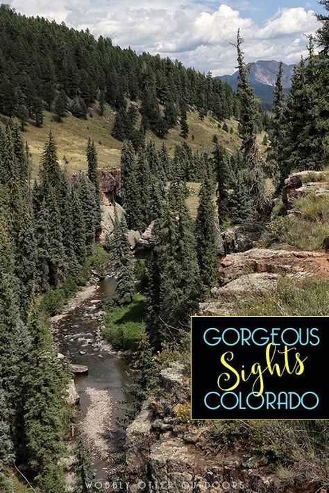 San Juan National Forest - Beautiful Sights | Wobbly Otter Outdoors Types Of Tigers, Pagosa Springs, Summer Trip, Beautiful Sights, Fall Pictures, Round Trip, Late Summer, National Forest, Summer Travel