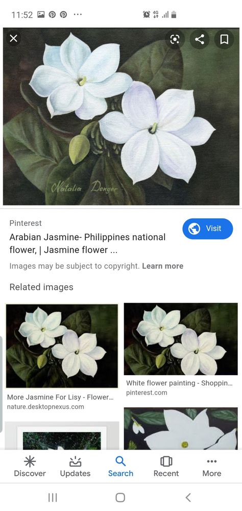 Arabian Jasmine Flower Tattoo, Jasmine Tree, Arabian Jasmine, Scribble Art, Jasmine Flower, Future Tattoos, Flower Drawing, Painting On Wood, Hand Tattoos