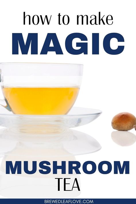 Magic Shroom Recipes, Magic Mushroom Tea, Magic Mushroom Tea Recipe, Shroom Tea, Mushroom Tea Recipe, Shroom Tea Recipe, Shroom Trip Activities, Magic Mushroom Recipe, Psilocybin Mushrooms