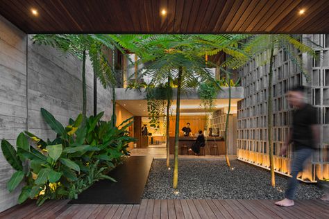 Urban Heat Island, Courtyard Design, Tropical Architecture, Green Environment, Garden Cafe, Modern Tropical, Tropical Landscaping, Cafe Design, Tropical Garden