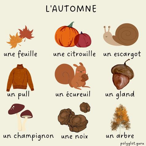 L'automne vocabulaire September Halloween, French Course, Study French, French Worksheets, French Teaching Resources, Core French, French Grammar, Instagram Autumn, Word Choice