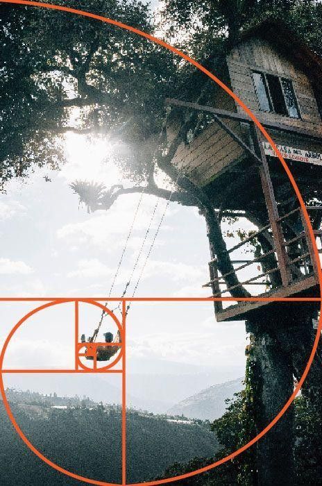 Composition Golden Ratio, The Golden Ratio Photography, Composition Rule Of Thirds, Golden Ratio Photography, Golden Ratio Composition, Tree Composition, Wooden Tree House, Interesting Composition, Rules Of Composition