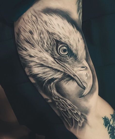 Eagle Inner Bicep Tattoo, Eagle Tattoo Inner Bicep, Eagle Bicep Tattoo, Tattoos Inner Bicep, Tattoo Designs Chest, Tattoo Designs Dragon, Bald Eagle Tattoos, Tattoo Homme, Wörter Tattoos